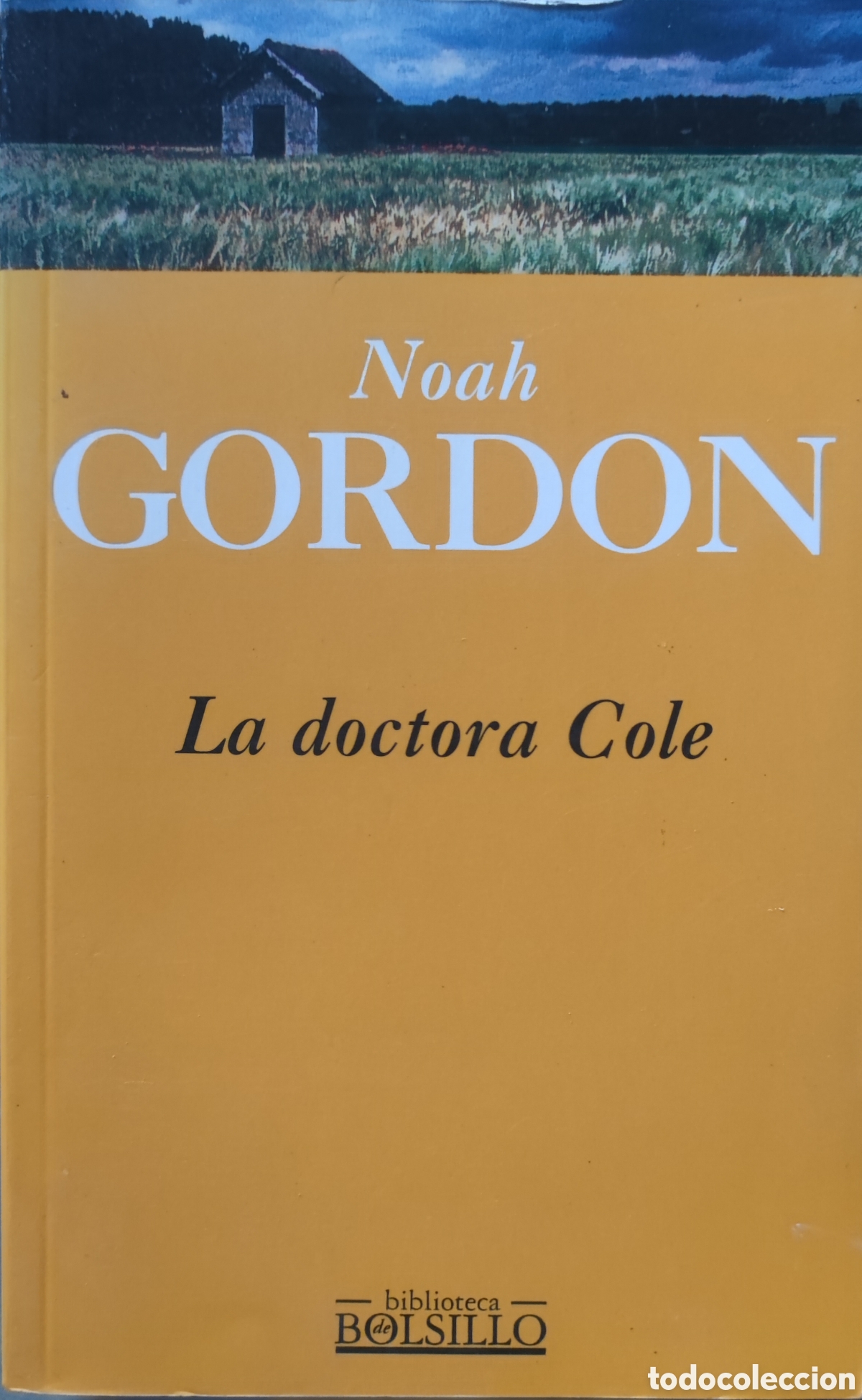 Libros: Noah Gordon. La doctora Cole