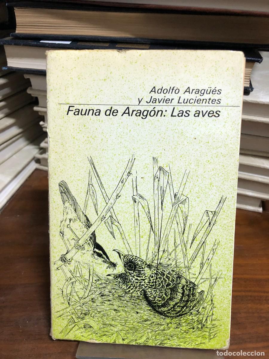 B&uuml;cher: Fauna de Arag&oacute;n: Las aves Adolfo Arag&uuml;&eacute;s y Javier Lucientes