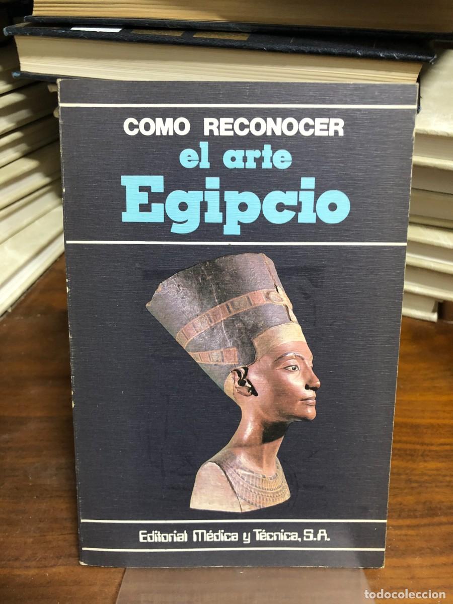 Libros: C&oacute;mo reconocer el arte Egipcio Editorial M&eacute;dica y T&eacute;cnica