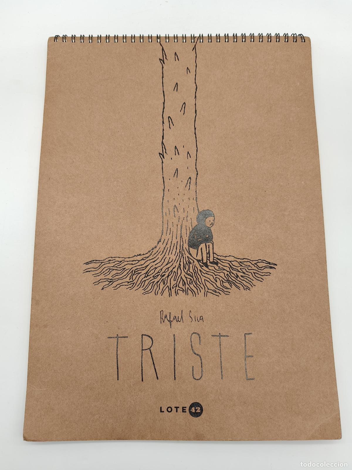 Livres: SICA, Rafael. - Triste.