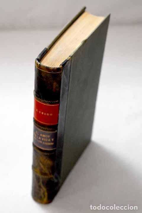Libros: El amor en la vida y en los libros: mi &eacute;tica y mi est&eacute;tica.- Trigo, Felipe