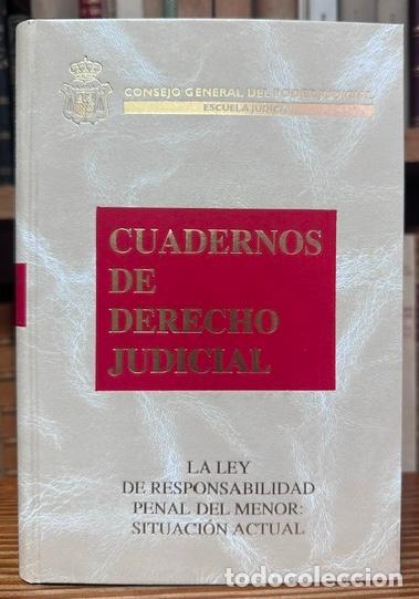 Libros: LA LEY DE RESPONSABILIDAD PENAL DEL MENOR: SITUACION ACTUAL - PANTOJA GARCIA, F&eacute;lix
