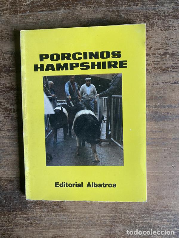 Livres: Porcinos Hampshire - -