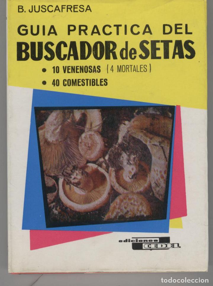 Libri di seconda mano: GUIA PRACTICA DEL BUSCADOR DE SETAS. Juscafresa, B.- EDITORIAL: Cedel - Juscafresa, B.- Sobrecubiert