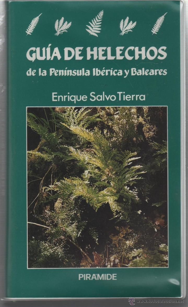Livros em segunda m&atilde;o: GU&Iacute;A DE HELECHOS DE LA PEN&Iacute;NSULA IB&Eacute;RICA Y BALEARES SALVO TIERRA, A. ENRIQUE - EDITORIAL: Pir&aacute;mide -