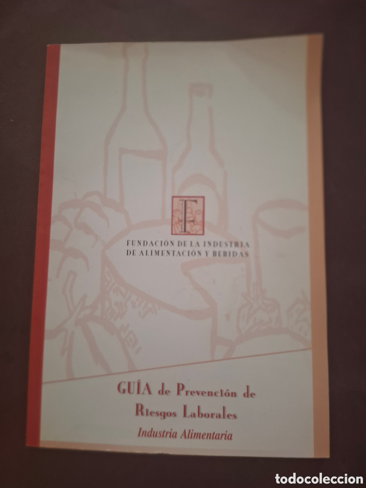 Libros: Guia de prevenci&oacute;n de riesgos laborales - 2002