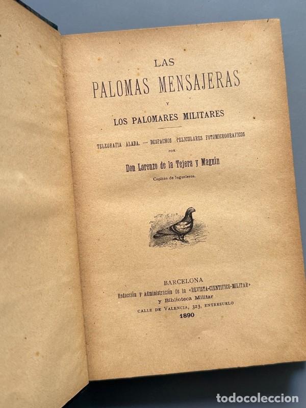 Libros: Las palomas mensajeras y los palomares militares, Lorenzo de la Tejera y Magn&iacute;n - 1890