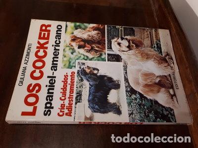 Livres: Los Cocker Spaniel-Americano- 9788431522353