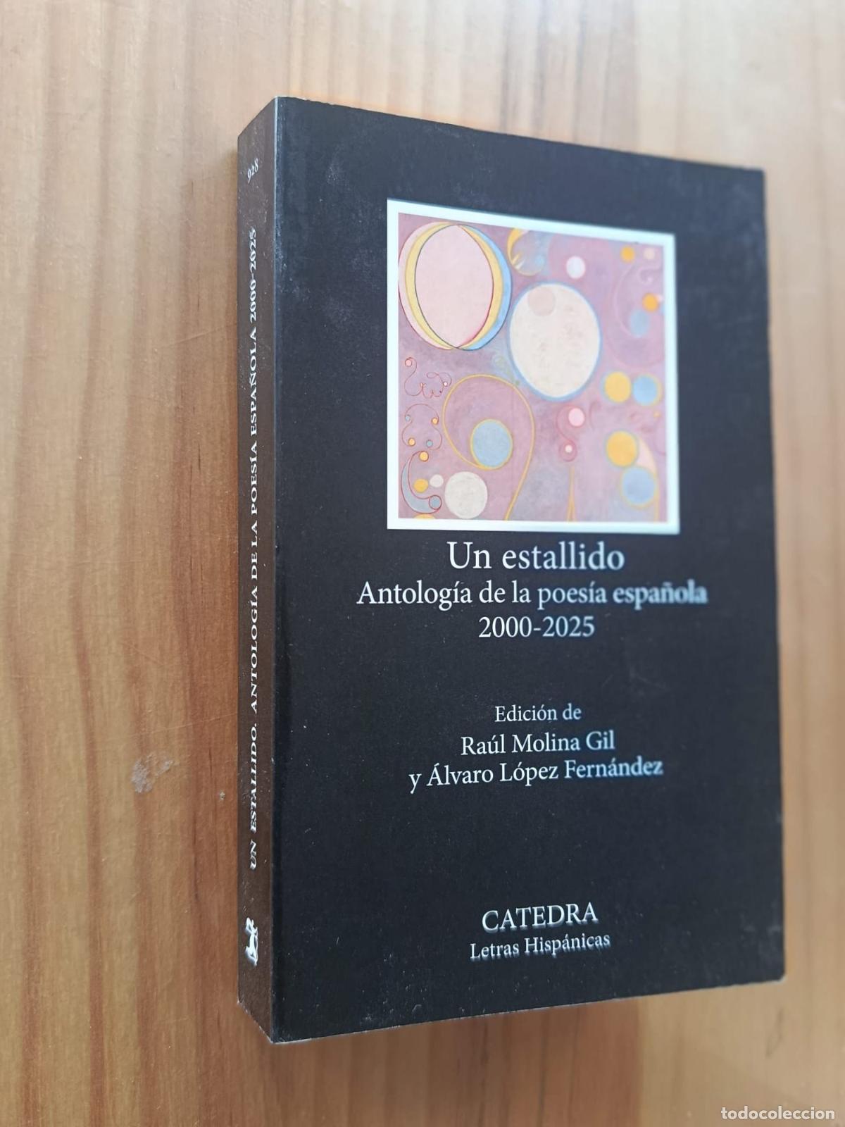 Libri di seconda mano: Un estallido Antolog&iacute;a de la poes&iacute;a espa&ntilde;ola 2000-2025 - L&oacute;pez Fern&aacute;ndez, &Aacute;lvaro; Molina Gil, Ra&uacute;l
