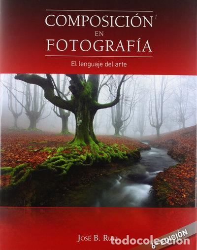 Libri di seconda mano: Composici&oacute;n en Fotograf&iacute;a- 9788493620714