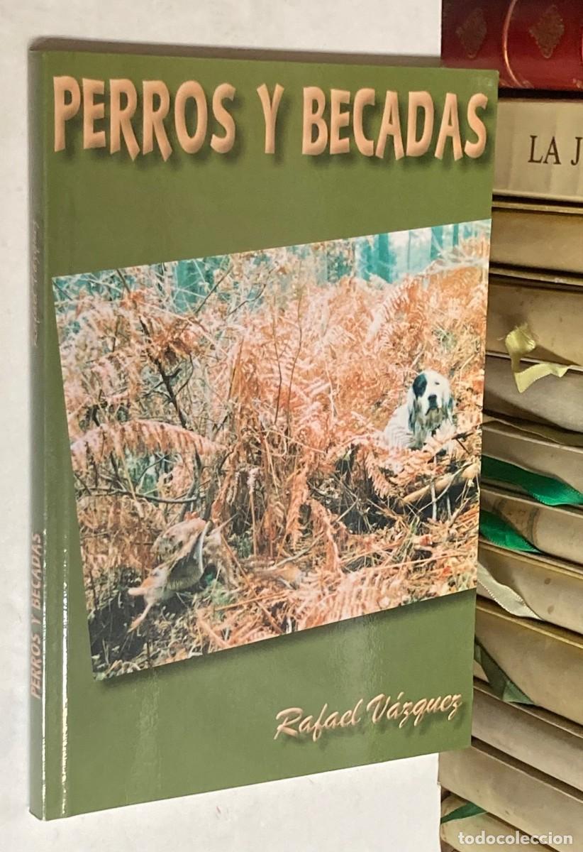 books: A&Ntilde;O 1996 - PERROS Y BECADAS POR RAFAEL V&Aacute;ZQUEZ - LIBRO CAZA
