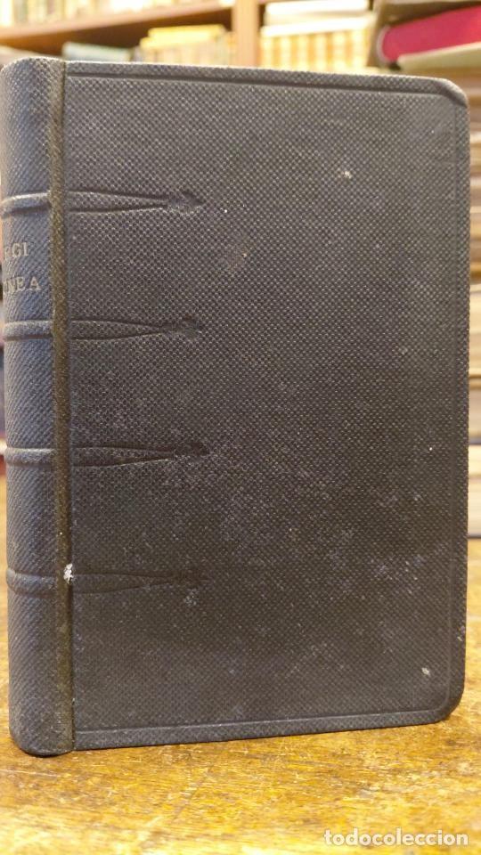 Libros: ARGI DONEA. Balzola&acute;tar Prantzisko Abak Egi&ntilde;a ta &rdquo;Argia&rdquo;ren batzaldian saritua. Irugaren argitaldi