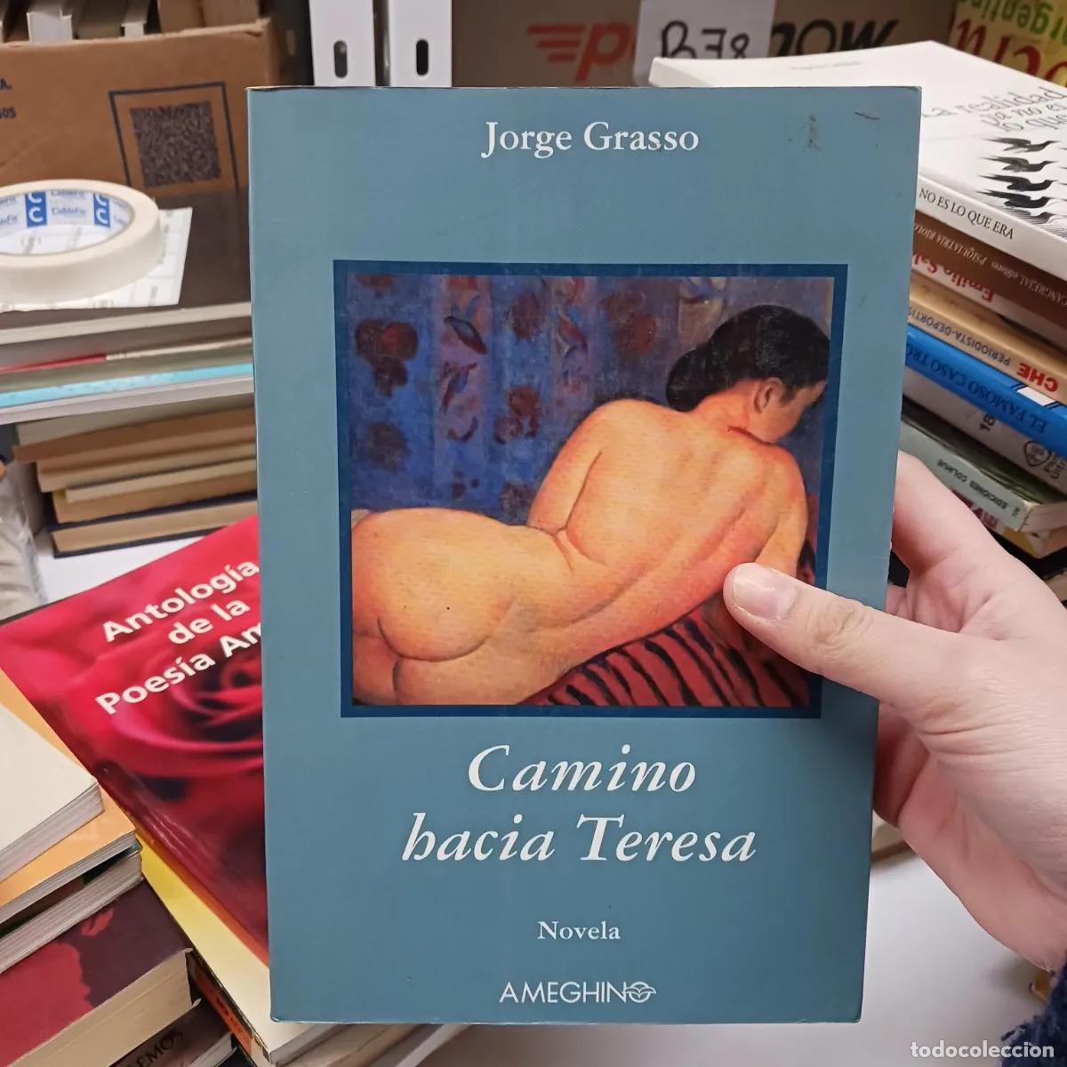 Libros: Camino hacia Teresa - Jorge Grasso - Foto 1