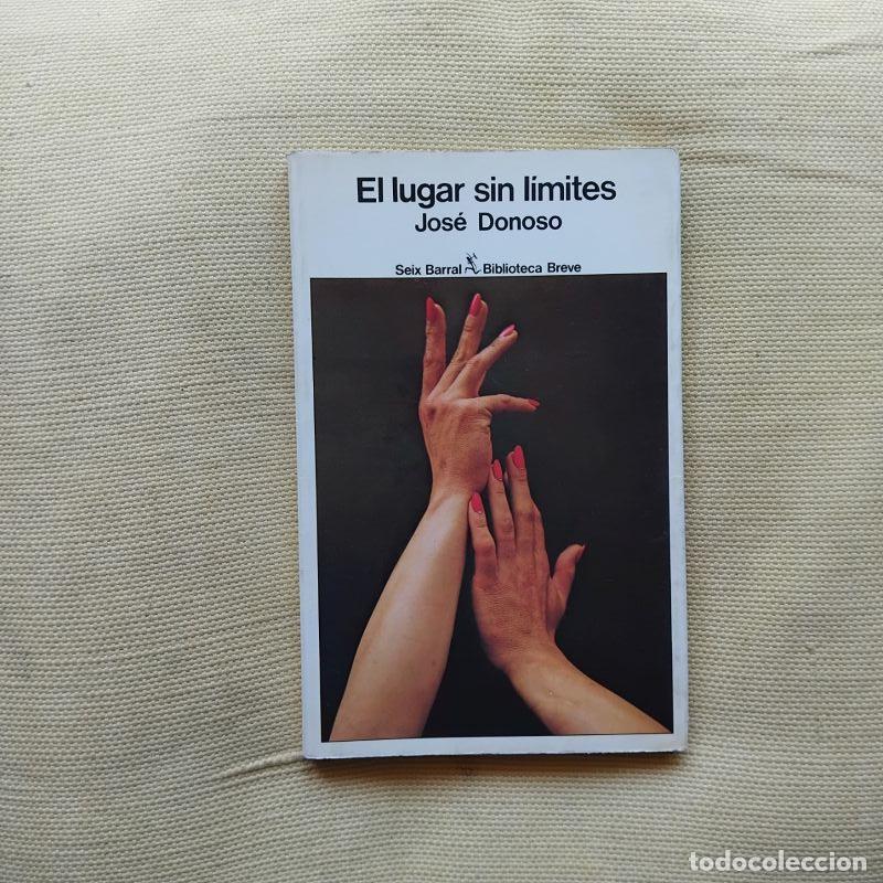 B&uuml;cher: El lugar sin l&iacute;mites - Jos&eacute; Donoso