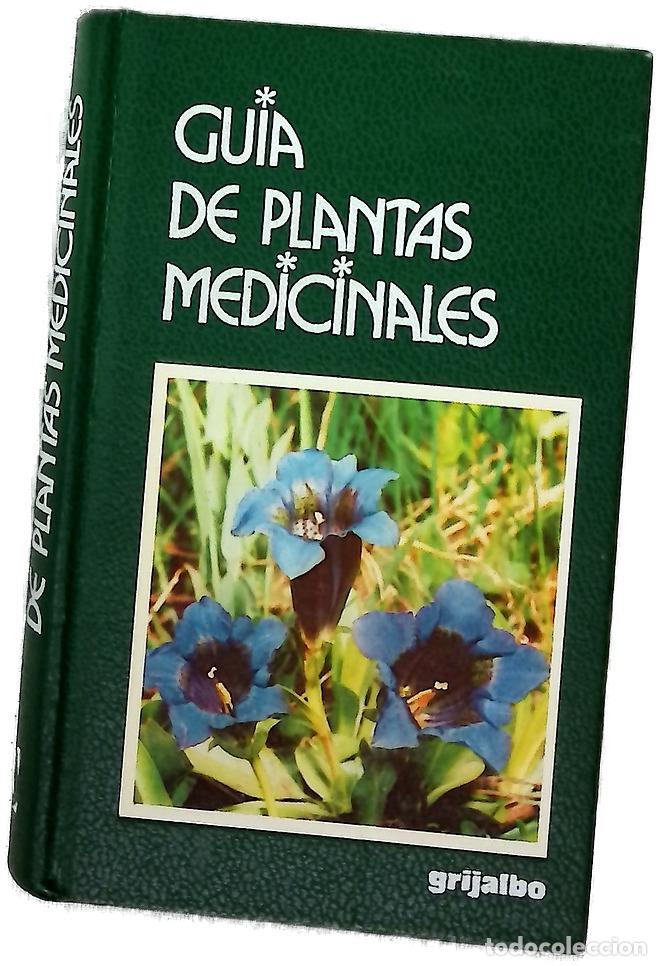books: Gu&iacute;a de plantas medicinales