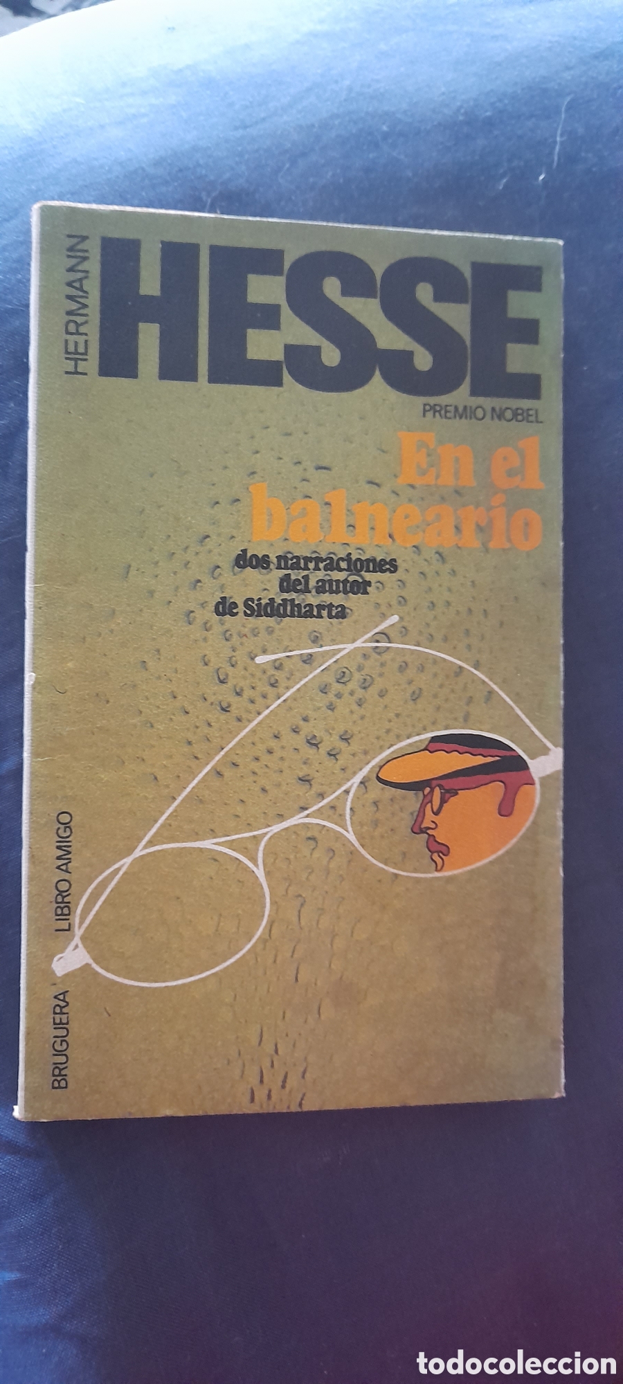 Libros: En el balneario. Herman Hesse