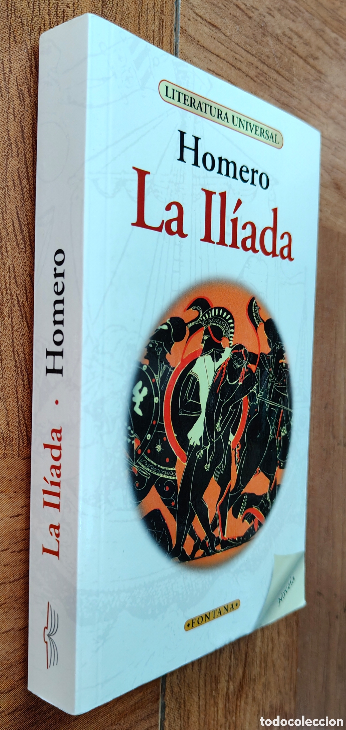 B&uuml;cher: La Il&iacute;ada � Fontana - Homero