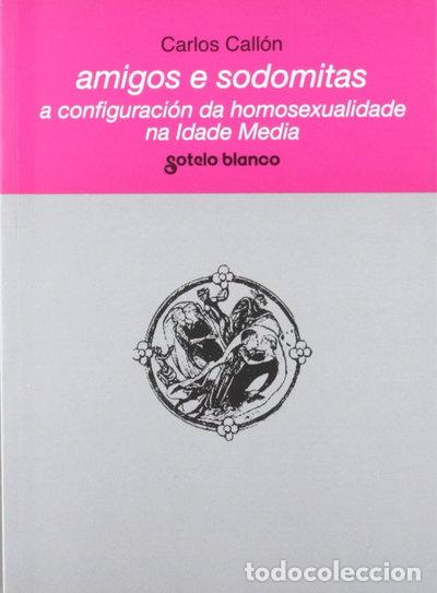Libros: Amigos e sodomitas: a configuraci&oacute;n da homosexualidade na Idade Media- 9788478246144