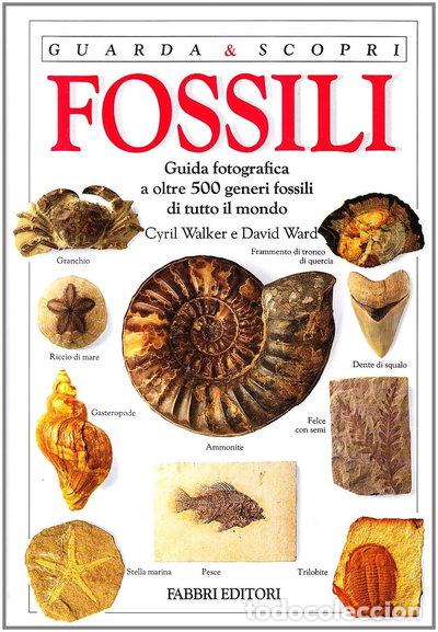 Libros: Fossili- 9788845044533
