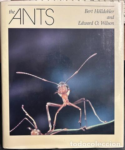 Libros: The Ants- 9780674040755