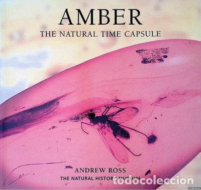 Libros: Amber: The Natural Time Capsule- 9780565091316