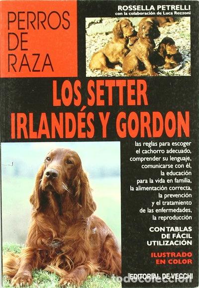 B&uuml;cher: Los setter irland&eacute;s y gordon- 9788431524678