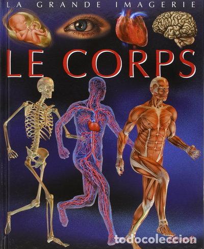 Libros: Le corps- 9782215104698