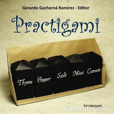 Libros: Practigami- 9781495203022