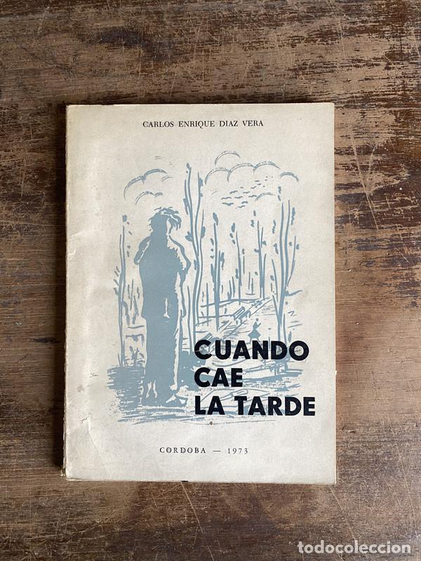 Livres: Cuando cae la tarde - Diaz Vera Carlos Enrique