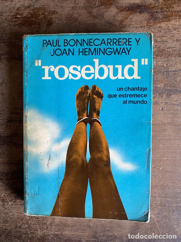 B&uuml;cher: Rosebud - Bonnecarrere Paul y Hemingway Joan