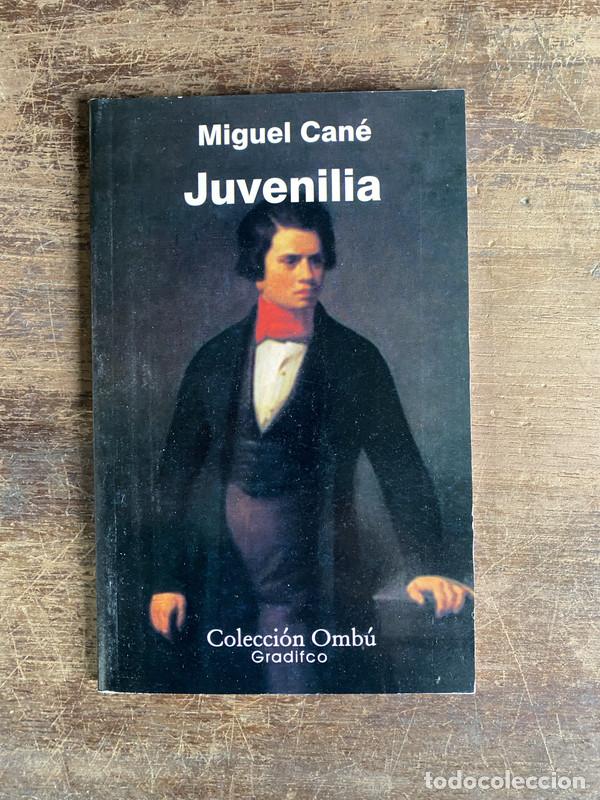 Libros: Juvenilia - Cane Miguel - Foto 1