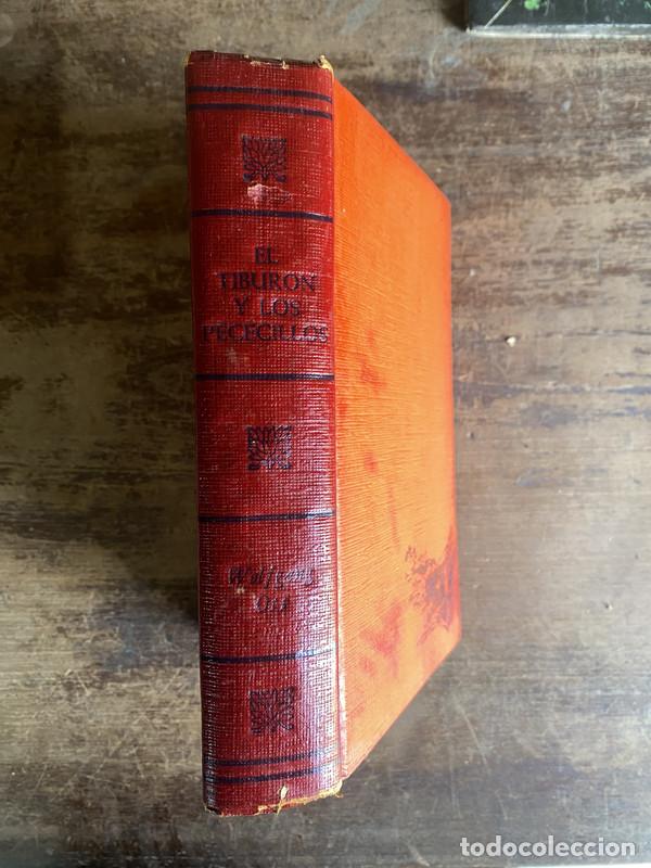 B&uuml;cher: El Tiburon y los Pececillos - -