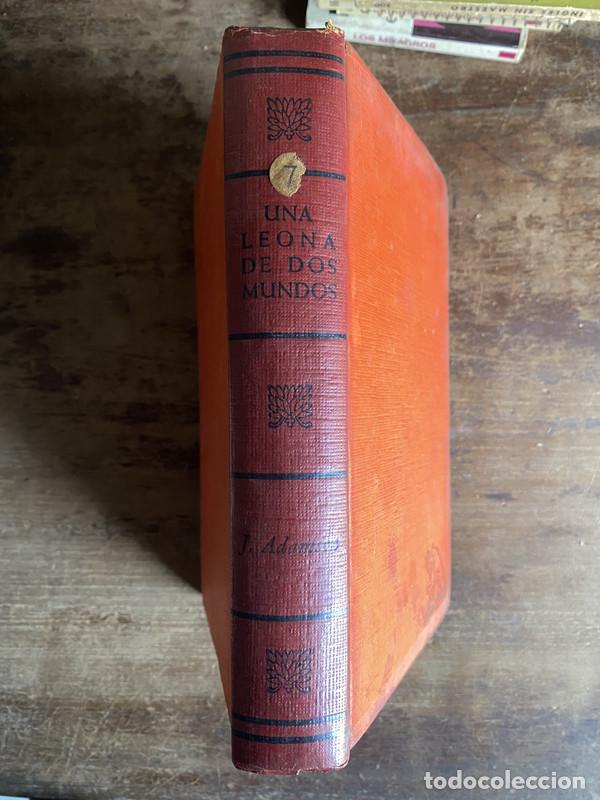 Libros: Una Leona de Dos Mundos - Adamson J.