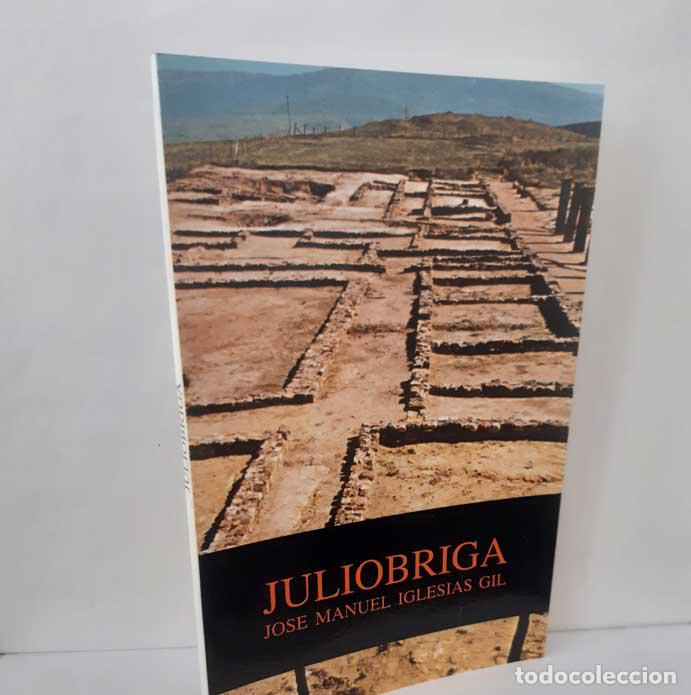 Livres: JULI&Oacute;BRIGA - IGLESIAS GIL, JOS&Eacute; MANUEL