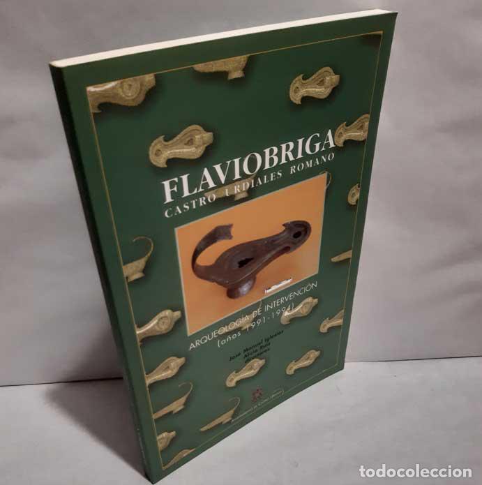 Livres: FLAVIOBRIGA, CASTRO URDIALES ROMANO. ARQUEOLOG&Iacute;A DE INTERVENCI&Oacute;N (1991-1994) - IGLESIAS, JOS&Eacute; MANUEL