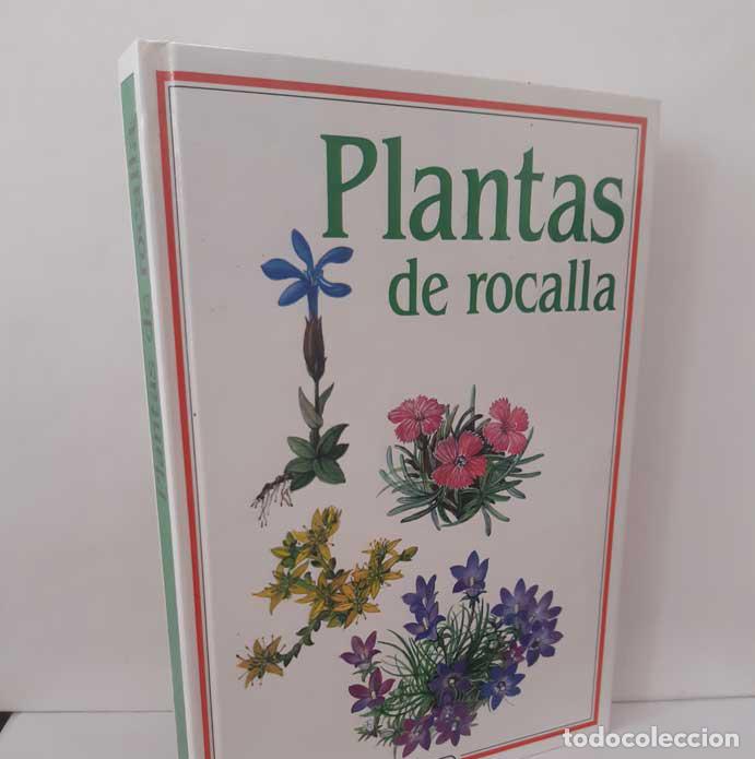 Libri di seconda mano: PLANTAS DE ROCALLA - VODICKOV&Aacute;, VLASTA