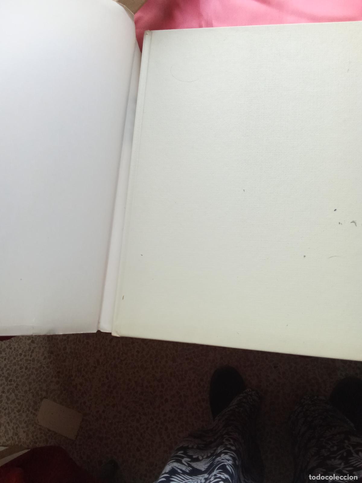 Libros: Dal&iacute;. Ignacio G&oacute;mez de Lia&ntilde;o Q.1005 - Foto 5