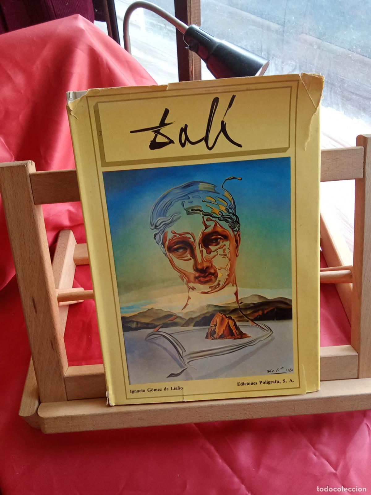 Libros: Dal&iacute;. Ignacio G&oacute;mez de Lia&ntilde;o Q.1005 - Foto 1