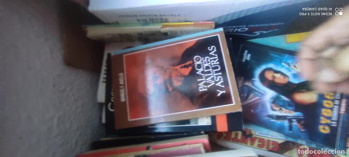 Libros: Palacio Vald&eacute;s y Asturias - Manuel F. Avello