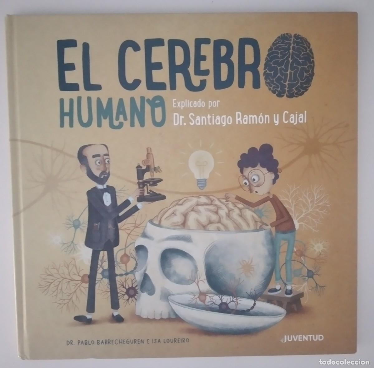 Libros: El cerebro humano explicado por Dr. Santiago Ram&oacute;n y Cajal -Barrecheguren, Pablo; Loureiro, Isa (Dr)