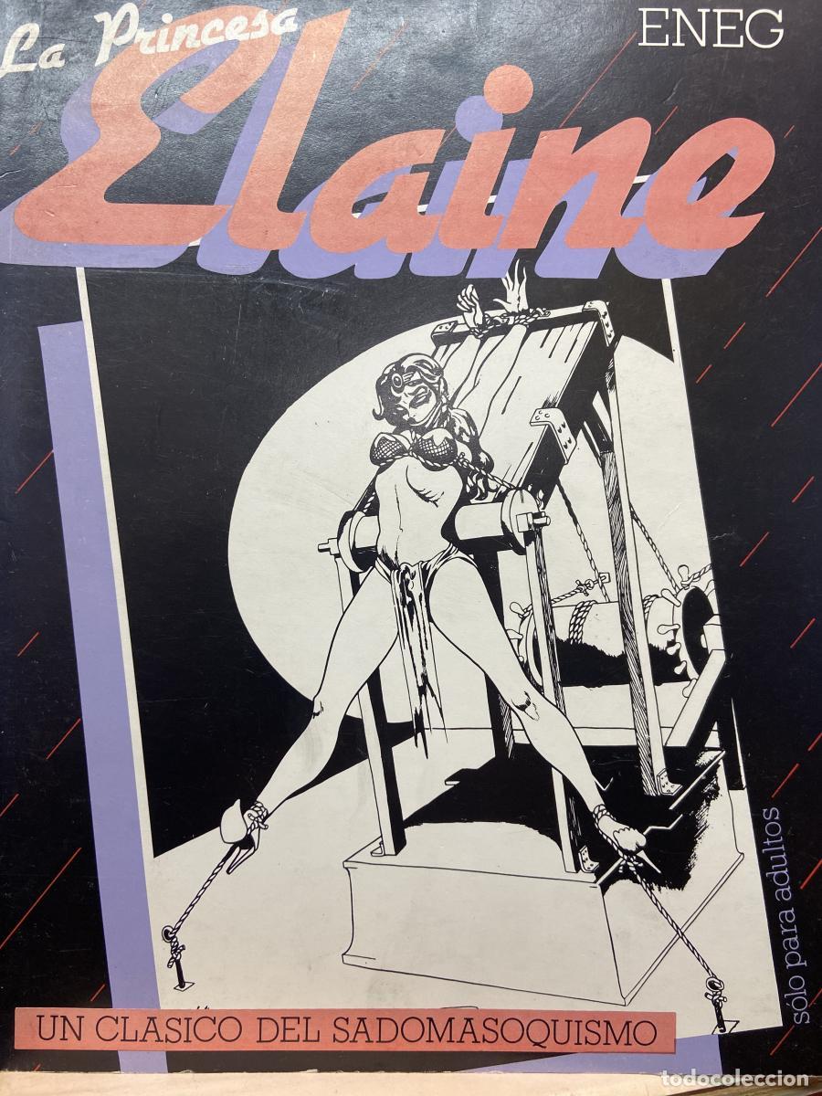 Libros: LA PRINCESA ELAINE - ENEG