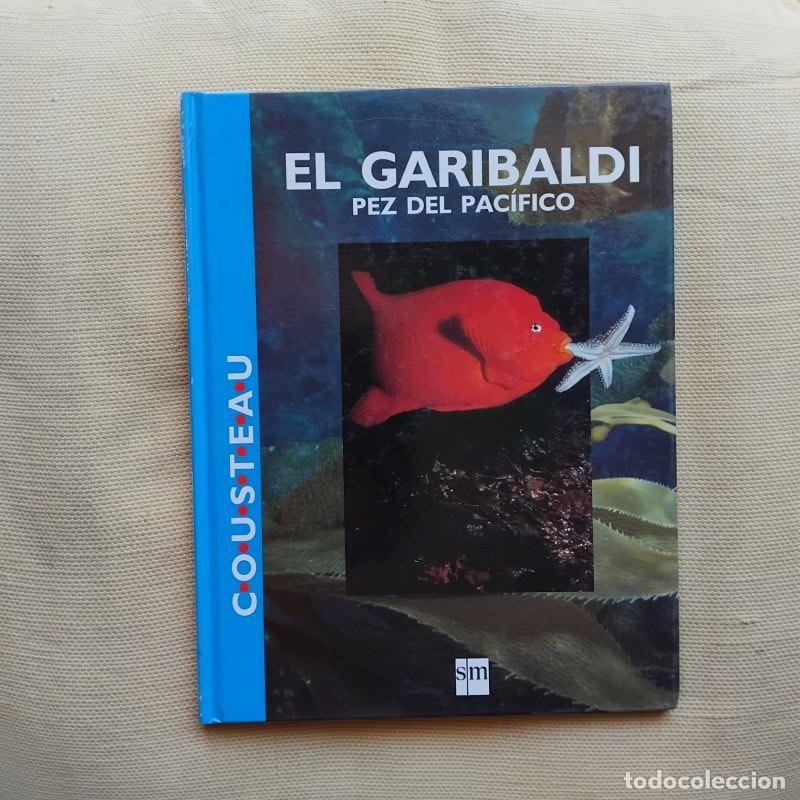 Libros: El garibaldi, pez del Pac&iacute;fico - Fundaci&oacute;n Cousteau - Foto 1