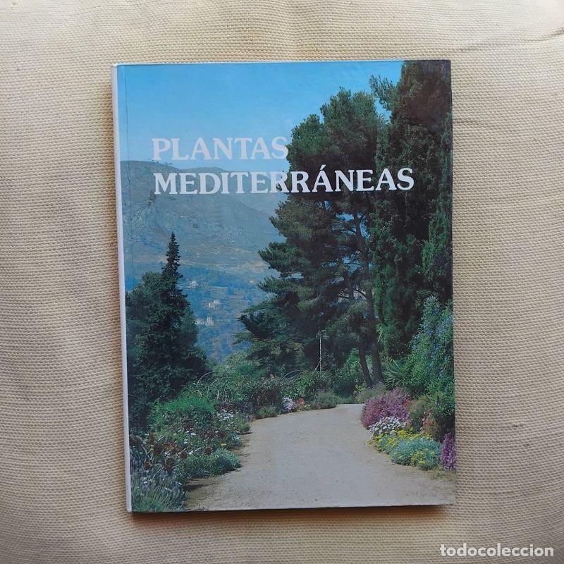 Libros: Plantas mediterr&aacute;neas - Roy Lancaster - Foto 1