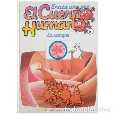 Libri di seconda mano: &Eacute;rase una vez el Cuerpo Humano: La Sangre- 9788439516972