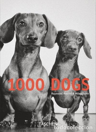 B&uuml;cher: 1000 Dogs- 9783822819739