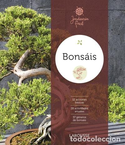 Libros: Bons&aacute;is- 9788416368907