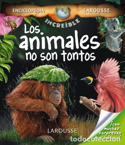 Libros: Los animales no son tontos- 9788480166966