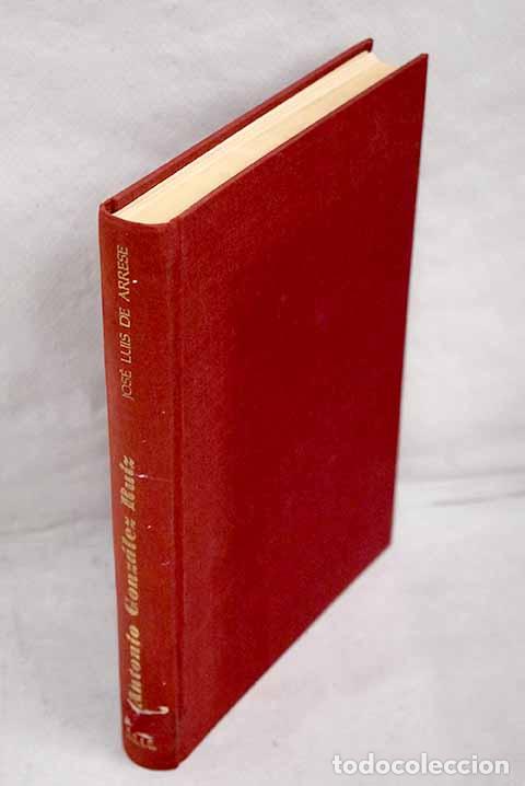 Libros: Antonio Gonz&aacute;lez Ruiz: (Pintor de C&aacute;mara de S. Mag.- Arrese, Jos&eacute; Luis de