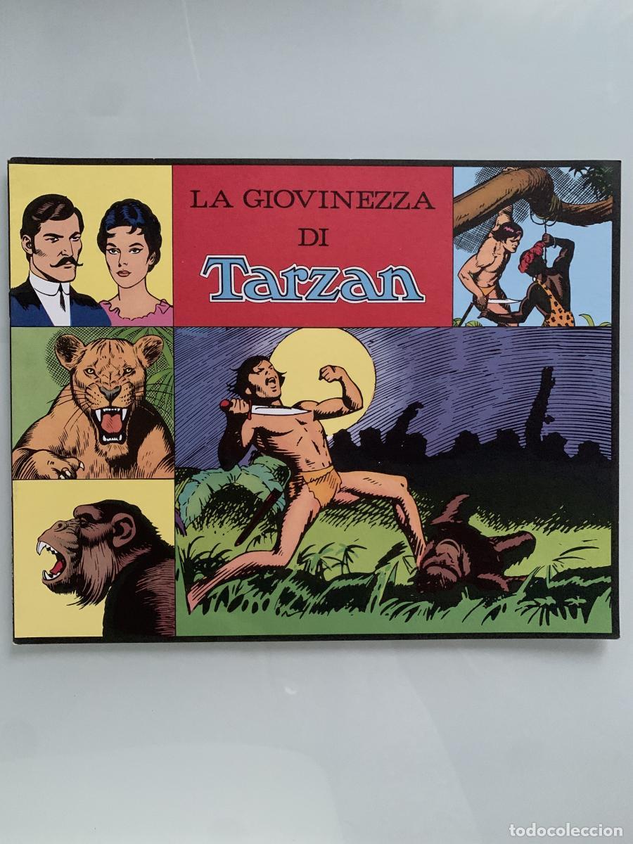 Libros: LA GIOVINEZZA DI TARZ&Aacute;N - Gianni Brunoro