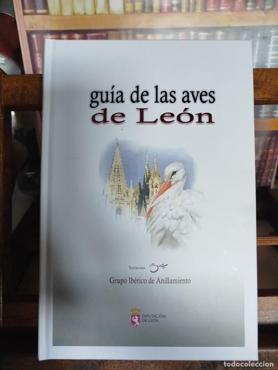 Libros: Gu&iacute;a de las aves de Le&oacute;n - VV. AA